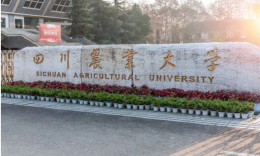 【重磅解析】2026年四川农业大学会计专硕复试录取分析